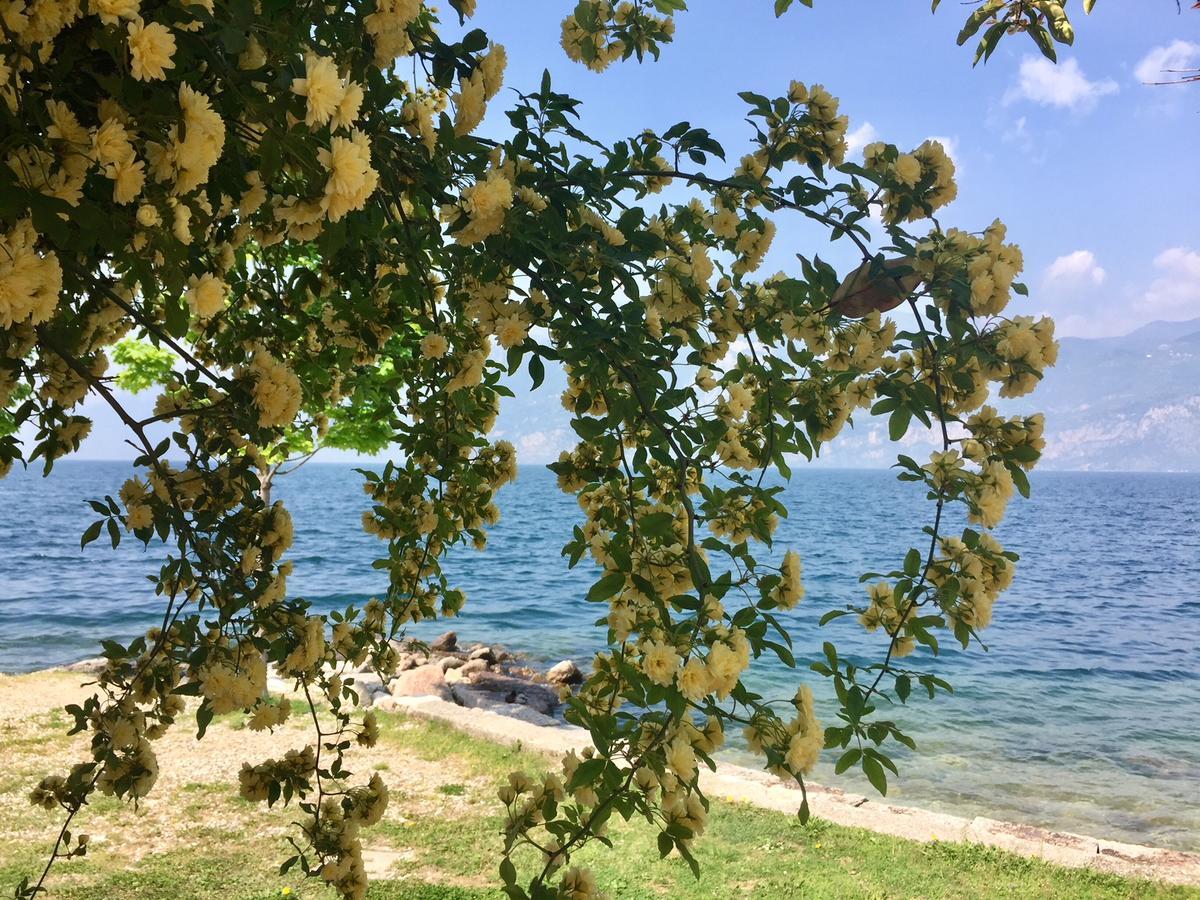 Piccolo Hotel Direkt am See Brenzone sul Garda Buitenkant foto